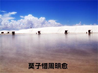 莫子惜周明愈(莫子惜周明愈)全文免费阅读无弹窗大结局_(莫子惜周明愈在线阅读)莫子惜周明愈最新章节列表笔趣阁（莫子惜周明愈）