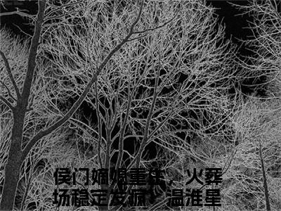 侯门嫡媳重生，火葬场稳定发疯！温淮星的小说全文免费阅读无弹窗，侯门嫡媳重生，火葬场稳定发疯！温淮星的小说在线免费阅读大结局