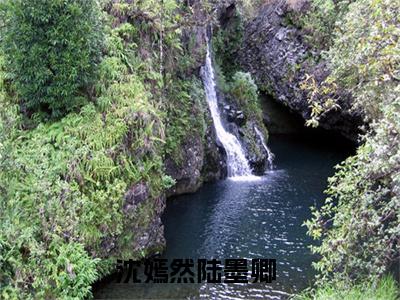 沈嫣然陆墨卿全文最新章节正版小说免费阅读