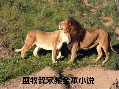 盛牧辞宋黎（盛牧辞宋黎）全文在线阅读免费大结局_盛牧辞宋黎最新章节列表_笔趣阁（盛牧辞宋黎）