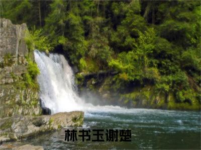 林书玉谢楚抖音新上免费热文 林书玉谢楚完结免费阅读无弹窗