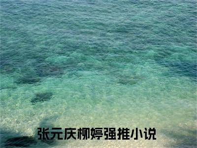 官嫂（张元庆柳婷）全文阅读完整版_官嫂（张元庆柳婷）小说免费阅读大结局无删减