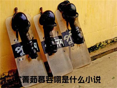 沈菁茹慕容翊全文免费阅读无弹窗大结局，沈菁茹慕容翊小说精彩免费试读