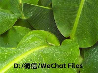 D:/微信/WeChat Files/wxid_ex7n9u5syvok22/FileStorage/Temp/Copy/杜笙笙 顾言白.txt免费阅读（D:/微信/WeChat Files/wxid_ex7n9u5syvok22/FileStorage/Temp/Copy/杜笙笙 顾言白.txt）全文免费阅读无弹窗大结局_D:/微信/WeChat Files/wxid_ex7n9u5syvok22/FileStorage/Temp/Copy/杜笙笙 顾言白.txt免费阅读最新章节列表_笔趣阁（D:/微信