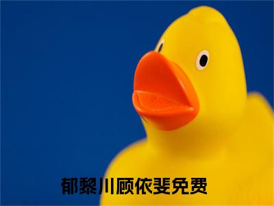 郁黎川顾依斐(郁黎川顾依斐）小说全文免费读无弹窗大结局_郁黎川顾依斐小说章节试读最新章节列表笔趣阁