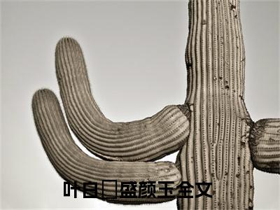 叶白玦盛颜玉精彩章节免费阅读_叶白玦盛颜玉抖音热推小说最新章节阅读