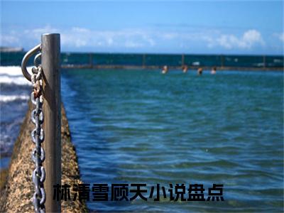 【新书】《林清雪顾天》全文免费阅读无弹窗大结局-反派神二代，开局被校花刺杀全文全章节免费阅读