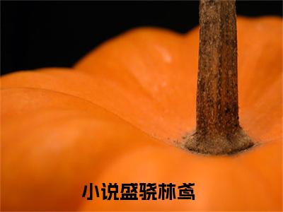 盛骁林鸢小说（盛骁林鸢）最新章节阅读-小说（盛骁林鸢）已完结全集大结局