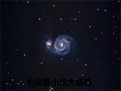 沈梁笙全文（心尖痣免费小说-完整版-沈梁笙在线赏析）最新章节已更新版