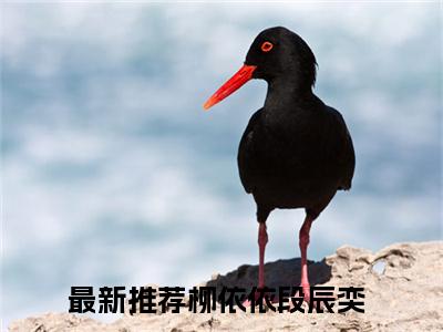 柳依依段辰奕全本资源免费阅读结局无删节-柳依依段辰奕小说全文阅读无弹窗