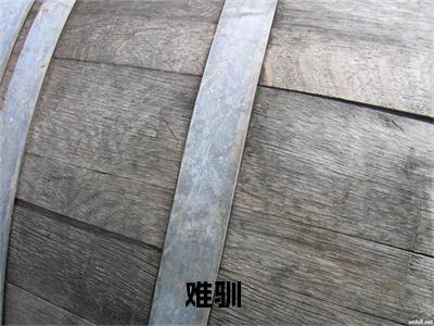 热门小说难驯全文免费阅读无弹窗大结局-施诗周时序全文无弹窗免费阅读大结局