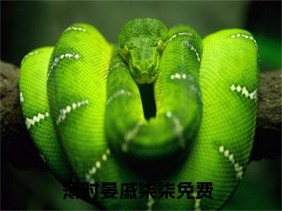 薄时晏戚柒柒全本资源（薄时晏戚柒柒）全文免费阅读无弹窗大结局_薄时晏戚柒柒最新章节列表（薄时晏戚柒柒）