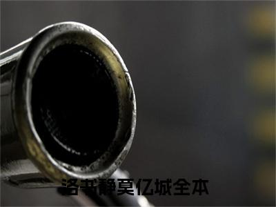 小说洛书静莫亿城（洛书静莫亿城）最新章节免费阅读-（洛书静莫亿城）小说全文无删减版