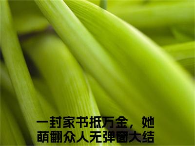 江宏江九珠（一封家书抵万金，她萌翻众人）小说免费在线阅读_江宏江九珠全本免费小说阅读（一封家书抵万金，她萌翻众人）