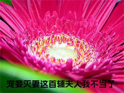 苏青玉云奕霄（宠妾灭妻这首辅夫人我不当了）最新章节在线阅读-宠妾灭妻这首辅夫人我不当了小说苏青玉云奕霄在哪里可以看