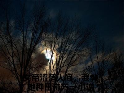 女帝流落人间，我教她种田林万一（女帝流落人间，我教她种田林万一全章节完整版）免费阅读-女帝流落人间，我教她种田林万一全文无删减阅读