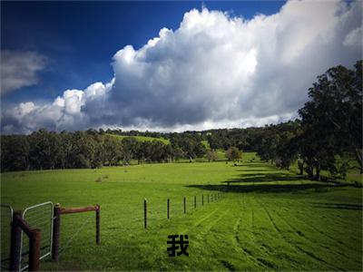 桑知语沈辞小说（我,离婚如丧偶,惊艳众人过新人生）全文免费阅读无弹窗大结局_桑知语沈辞小说最新章节列表_笔趣阁