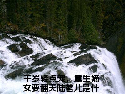 男女主人公千岁轻点宠，重生嫡女要翻天陆茗儿小说搞笑千岁轻点宠，重生嫡女要翻天陆茗儿全文免费阅读