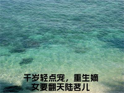 主角为千岁轻点宠，重生嫡女要翻天陆茗儿的言情小说讲的是什么-正版小说全文阅读