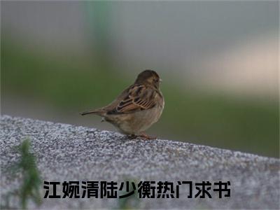 江婉清陆少衡(江婉清陆少衡)全文免费阅读无弹窗大结局_江婉清陆少衡免费阅读最新章节列表_笔趣阁（江婉清陆少衡）