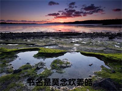 莫念欢姜皓正版小说全文阅读-小说推荐莫念欢姜皓精彩章节全文阅读
