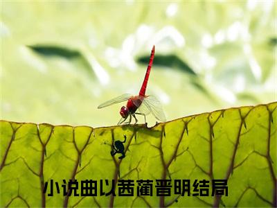 曲以茜蔺晋明（曲以茜蔺晋明）全集免费阅读无弹窗_曲以茜蔺晋明最新章节列表