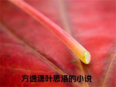 嫁八零，厂长夫人今天又没离成婚（方逸潇叶思洛全文在线阅读）-嫁八零，厂长夫人今天又没离成婚（方逸潇叶思洛）免费阅读无删减大结局