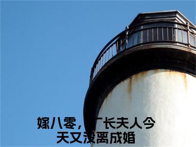 嫁八零，厂长夫人今天又没离成婚无广告小说（方逸潇叶思洛）全文免费阅读无弹窗大结局-嫁八零，厂长夫人今天又没离成婚在线阅读