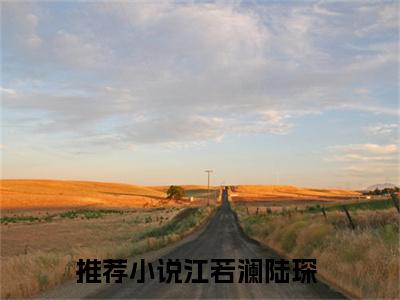 江若澜陆琛全本资源免费阅读结局无删节-江若澜陆琛小说全文阅读无弹窗