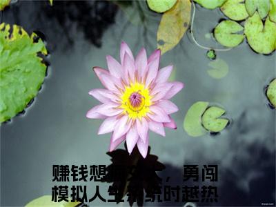 赚钱想疯女大，勇闯模拟人生系统时越(赚钱想疯女大，勇闯模拟人生系统时越)全文免费阅读无弹窗大结局_(赚钱想疯女大，勇闯模拟人生系统时越)小说免费阅读最新章节列表