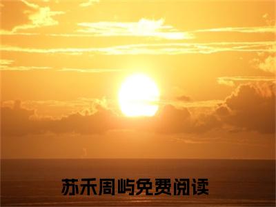 苏禾周屿（苏禾周屿）全文免费阅读无弹窗大结局_苏禾周屿小说免费最新章节列表_笔趣阁