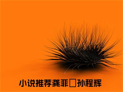龚菲玥孙程辉（龚菲玥孙程辉）全文免费阅读无弹窗大结局_(龚菲玥孙程辉免费阅读)龚菲玥孙程辉最新章节列表_笔趣阁