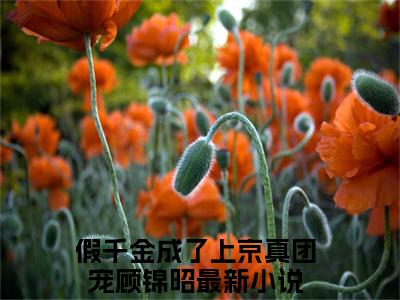 假千金成了上京真团宠顾锦昭小说（假千金成了上京真团宠顾锦昭）全文免费阅读无弹窗大结局_(假千金成了上京真团宠顾锦昭小说)假千金成了上京真团宠顾锦昭小说免费阅读无弹窗最新章节列表_笔趣阁（假千金成了上京真团宠顾锦昭）