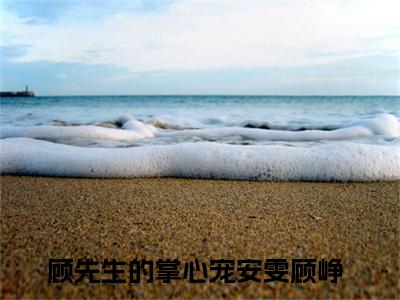 顾先生的掌心宠安雯顾峥(顾先生的掌心宠安雯顾峥)全文免费阅读无弹窗大结局_(顾先生的掌心宠安雯顾峥小说全文大结局)最新章节列表_笔趣阁（顾先生的掌心宠安雯顾峥）