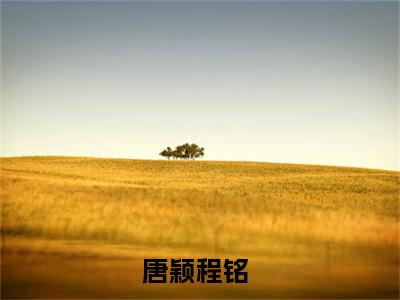唐颖程铭的小说大结局免费阅读，唐颖程铭小说最新章节番外篇