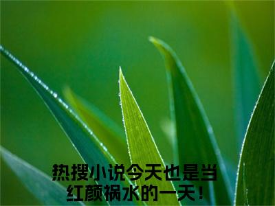 今天也是当红颜祸水的一天！（贺兰殷桑宁）全文免费阅读无弹窗大结局_今天也是当红颜祸水的一天！最新章节列表-笔趣阁贺兰殷桑宁