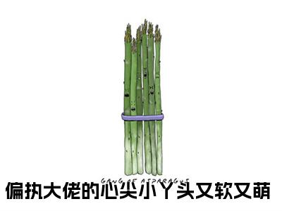 伍嘉衍慕沅全文免费阅读大结局_伍嘉衍慕沅（偏执大佬的心尖小丫头又软又萌）最新章节列表