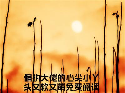 偏执大佬的心尖小丫头又软又萌（伍嘉衍慕沅）全文免费阅读无弹窗大结局_偏执大佬的心尖小丫头又软又萌最新章节列表