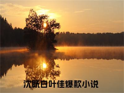沈既白叶佳小说免费阅读-（沈既白叶佳）言情小说讲的是什么