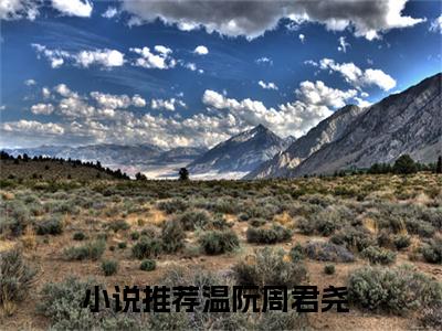 温阮周君尧(温阮周君尧)全文免费阅读无弹窗大结局_温阮周君尧(温阮周君尧小说全文无弹窗)完整版最新阅读（温阮周君尧）