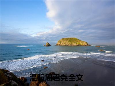 热度超高温阮周君尧小说-小说完整版全文资源阅读