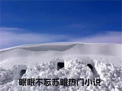 眠眠不忘苏眠小说（眠眠不忘苏眠）全文免费阅读无弹窗大结局_眠眠不忘苏眠最新章节在线阅读_笔趣阁