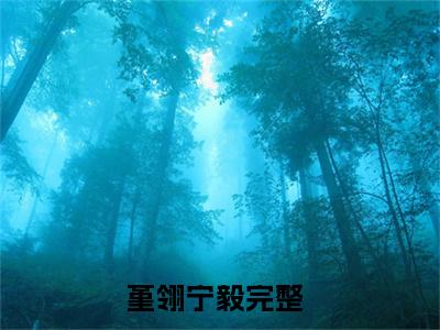 堇翎宁毅（堇翎宁毅）全文免费阅读（堇翎宁毅）小说无弹窗阅读