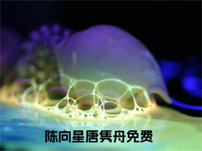 陈向星唐隽舟小说(陈向星唐隽舟)全文免费阅读无弹窗大结局_(陈向星唐隽舟)小说章节列表