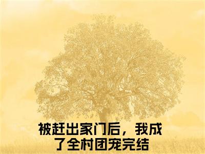 陶米安澈全文免费阅读无弹窗大结局_（被赶出家门后，我成了全村团宠完结）陶米安澈小说最新章节列表