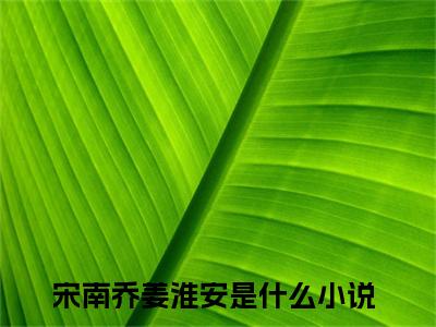 宋南乔姜淮安小说（宋南乔姜淮安）完整版大结局-宋南乔姜淮安小说免费阅读