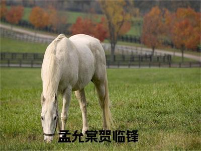 孟允棠贺临锋（孟允棠贺临锋）完整版小说阅读_孟允棠贺临锋全文免费阅读笔趣阁（孟允棠贺临锋）