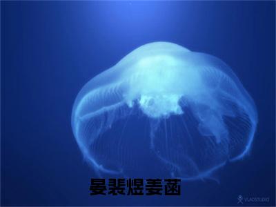 全网热搜（晏裴煜姜菡）是什么小说_晏裴煜姜菡小说（晏裴煜姜菡）热门章节阅读无弹窗_笔趣阁