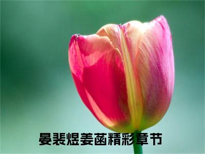 晏裴煜姜菡小说全文-（晏裴煜姜菡）精选小说晏裴煜姜菡大结局阅读