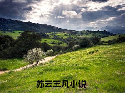 娱乐综艺：直播捡破烂，捡成了神探全文免费阅读无弹窗大结局_（娱乐综艺：直播捡破烂，捡成了神探小说）苏云王凡在线免费阅读